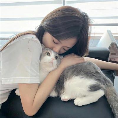最后的冒险 高清海报